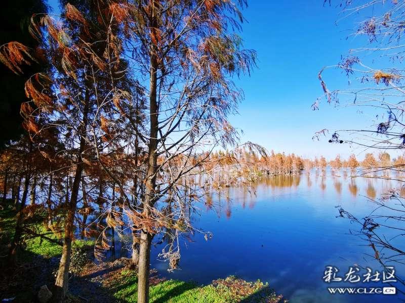 探索because的由因介词世界,共享because的由因介词乐趣!