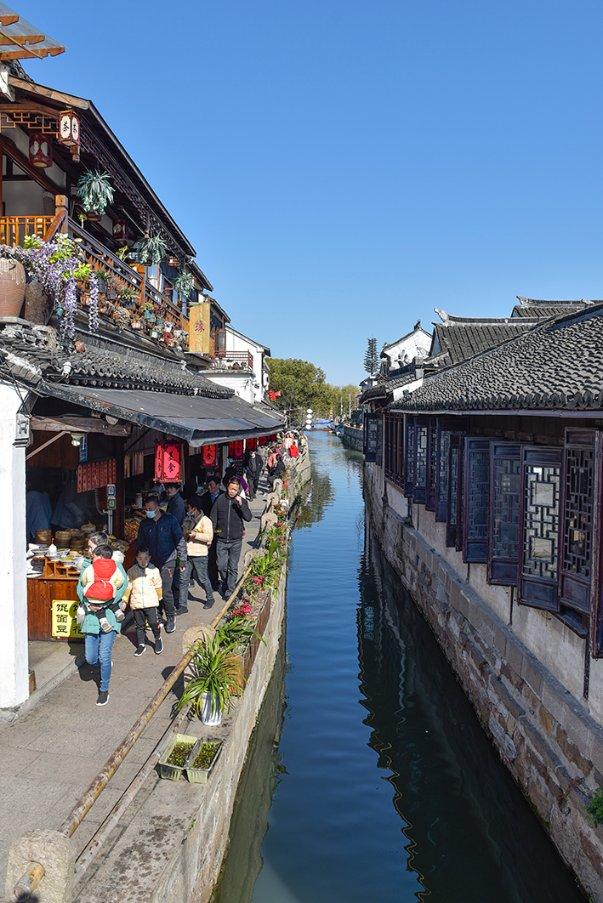 黄海湿地万物生,探路书写生态文明答卷的“盐城范例”