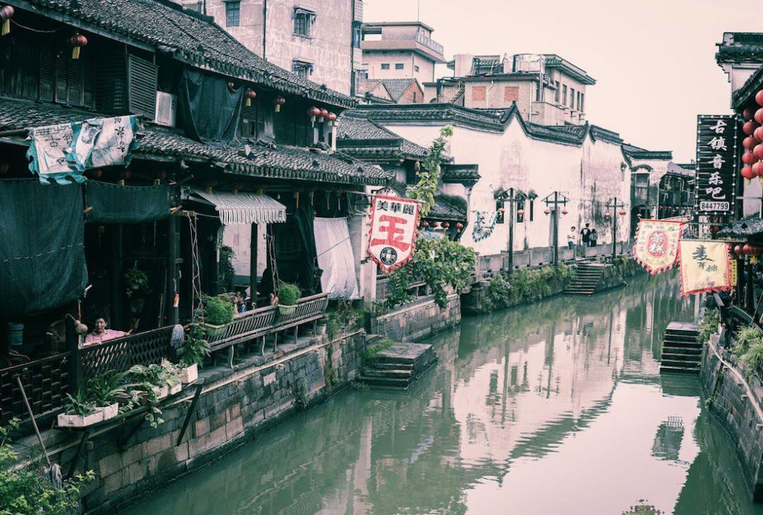 破碎的动物图形3